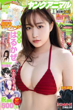 美弥藤