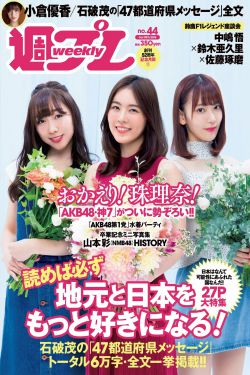 芙蓉锦鸡图