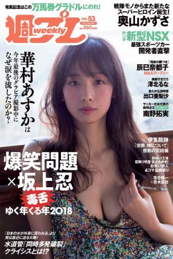 含苞待宠花婉柔镇国公