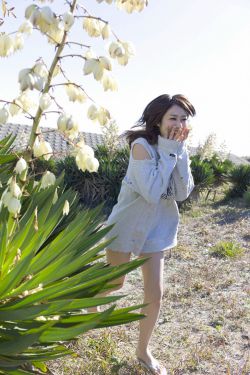 香车美人
